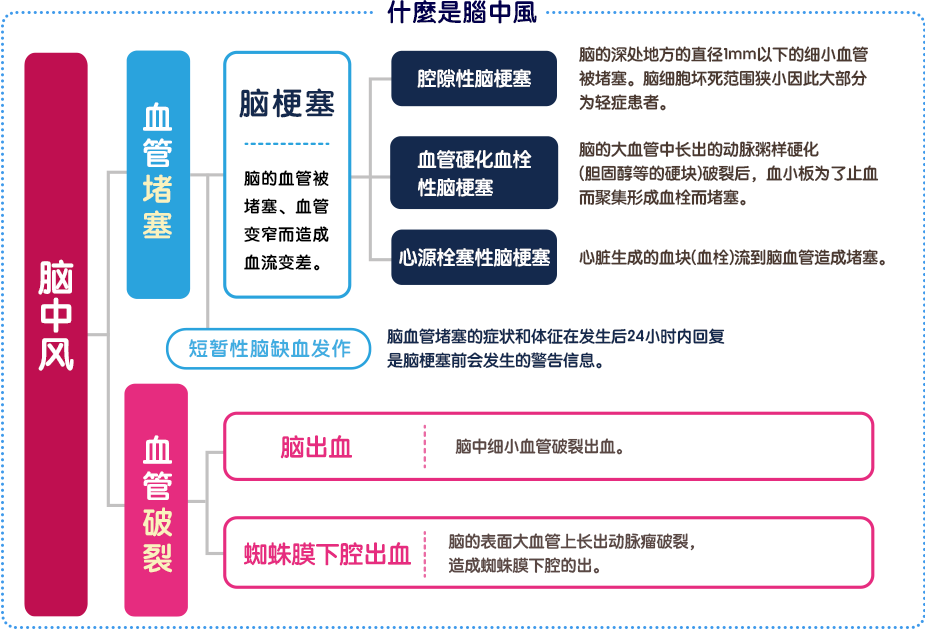 什么是脑卒中?