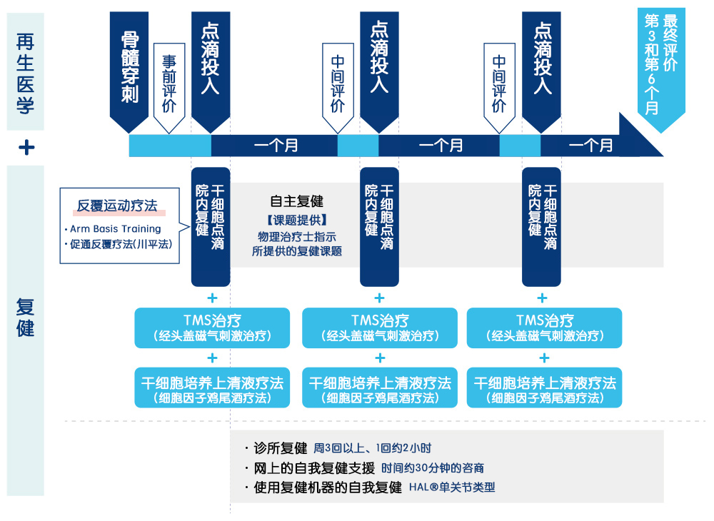 脑梗塞 脑高级功能障碍、右侧瘫痪(发病1年,50多岁男性)患者的再生康复治疗1疗程时间安排表(参考)