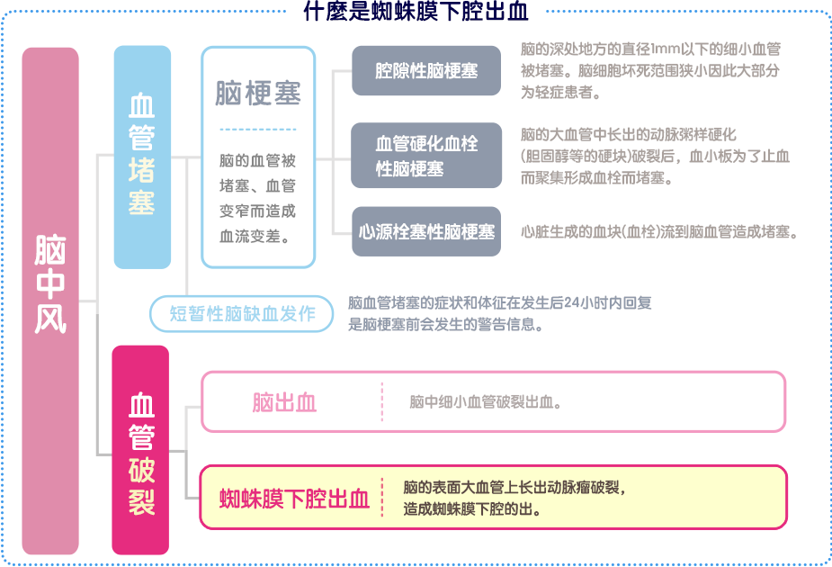 关于蛛网膜下腔出血